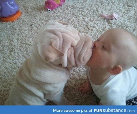 Innocent puppy kiss