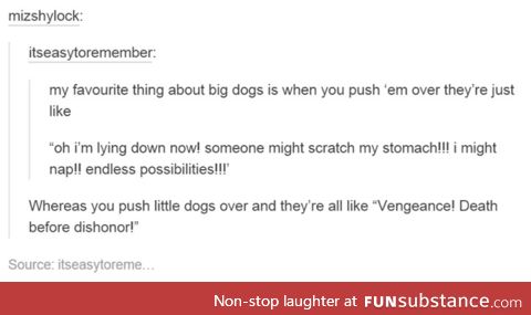 The Big Dog Thing Applies to Me Too, Actually