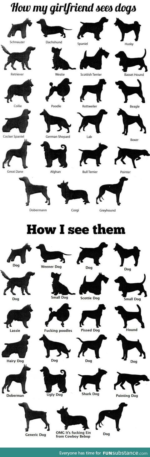 How I see dogs