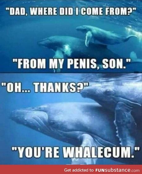 Sperm Whale?