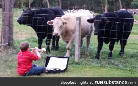 Neighbor boy was told to practice his trumpet somewhere else