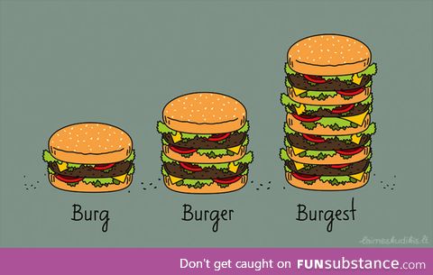 Burger explained