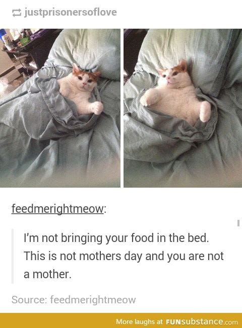 Feed him right meow!