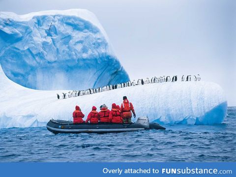 Antarctic scenic tour stop