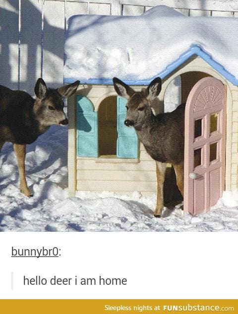 Deer-est