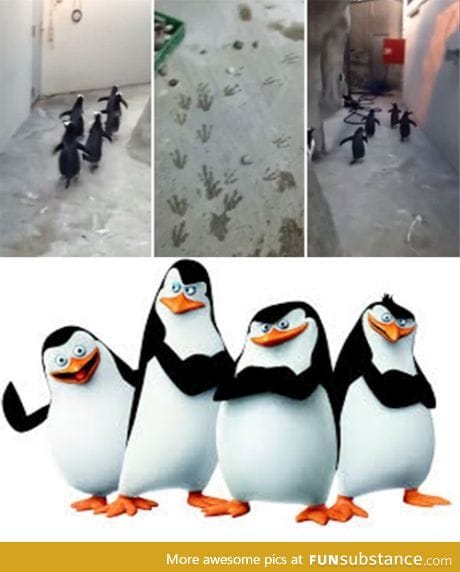 Smile and wave boys, smile and wave