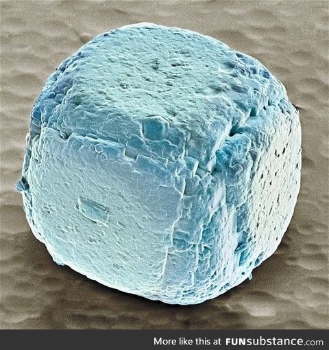 This is what a grain of salt looks like under an electronic microscope