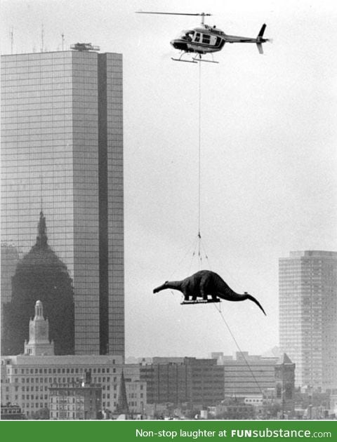 Delivering a brontosaurus to the Museum of Science in Boston (1984)