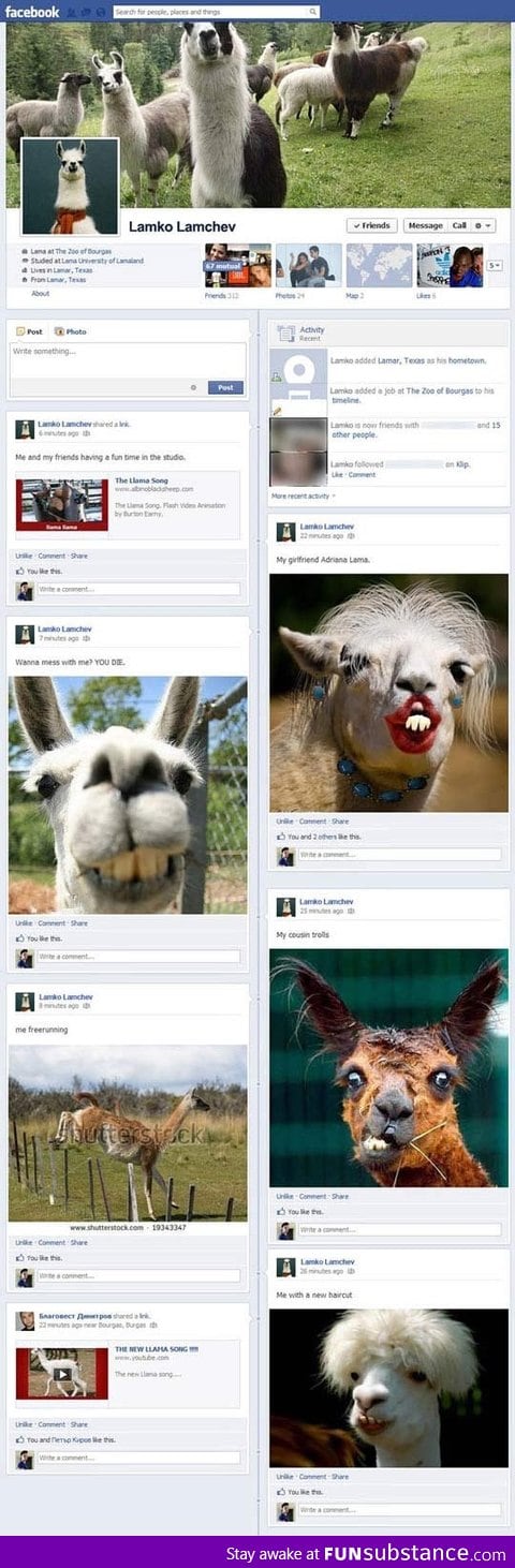 Friend forgets to logout of Facebook, becomes a llama