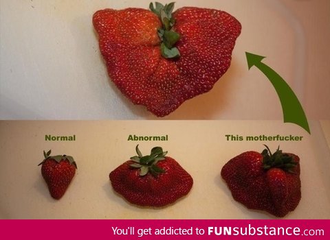 Types of strawberries