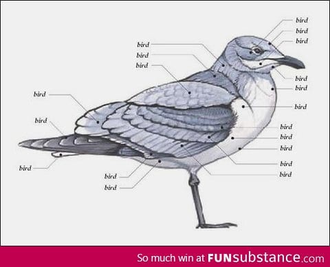 I find the things I learned in biology very helpful