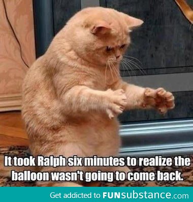 Where did my balloon go?