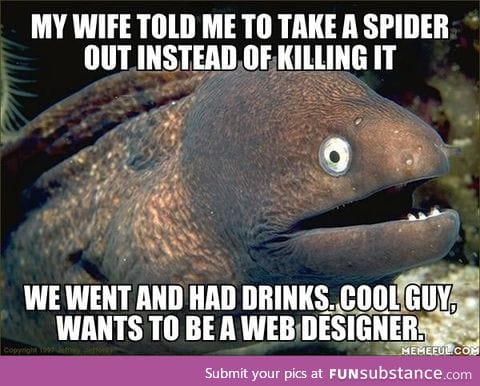 Not just any web designer. He wanted to be a dream weaver