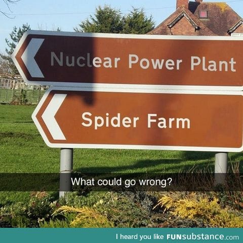 What could go wrong?