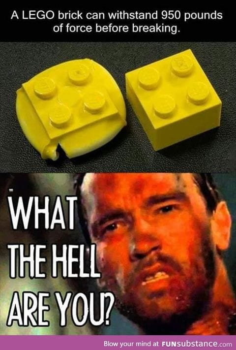 The hell Lego?