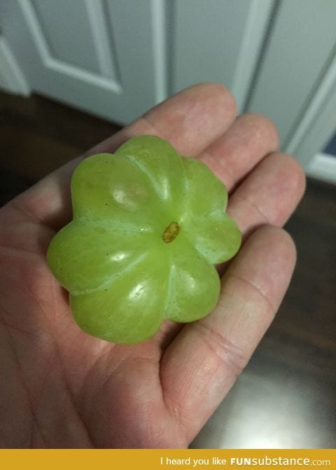 This grape is 8 grapes fused into 1