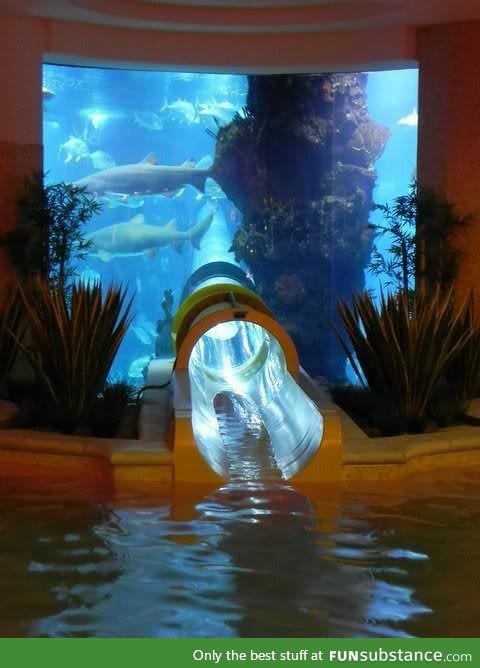 Coolest. Waterslide. Ever.