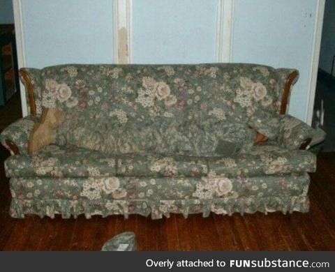 Damn, this couch is ugly and goddamnit, mike left his shoe on it again