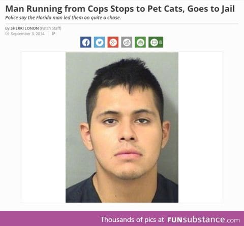 "quite a chase" till that cat shown up.