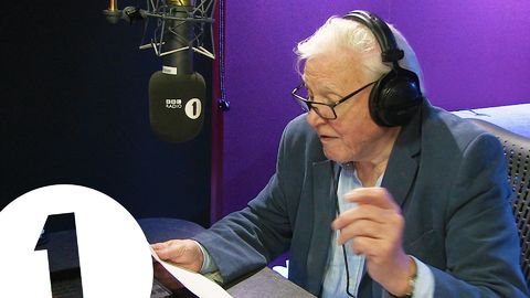 Sir David Attenborough narrates Adele's Hello