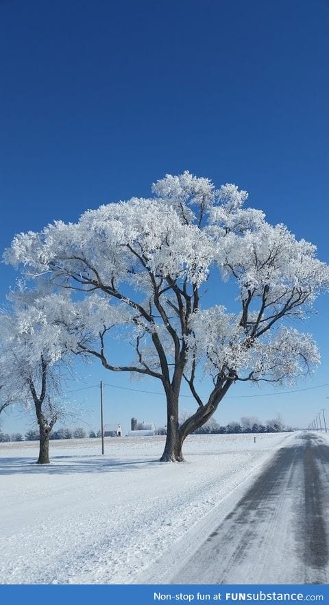 The first snowfall of the season in Northern Illinois