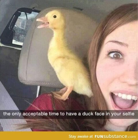 The only kind of duck face I'd approve
