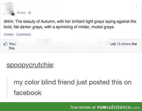 50 shades of grey...