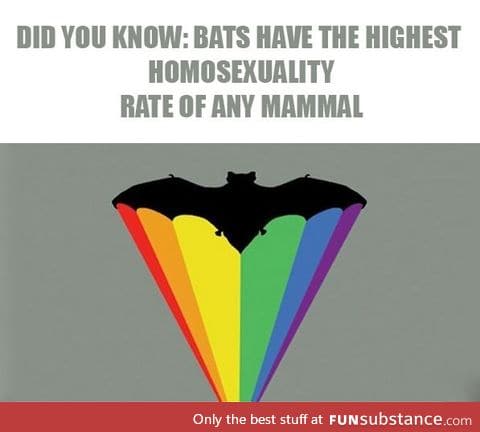 You go bats! (I'm not gay... I'm just Batman!)