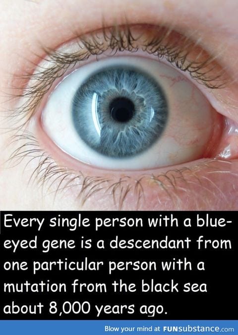 People who have blue eyes