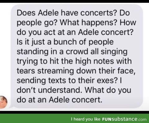 An Adele concert