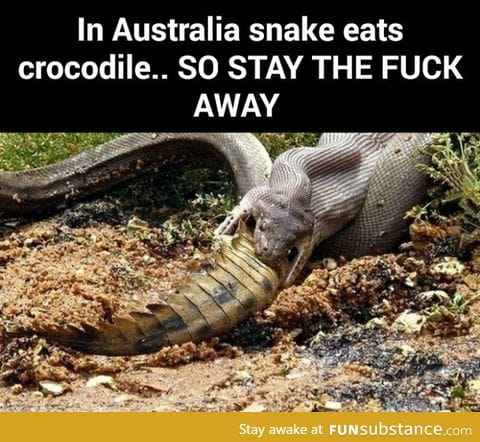 Australia is not a place for humans