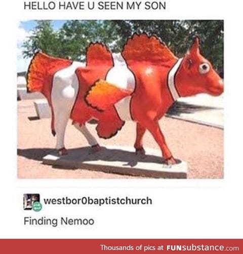 Finding Nemooo