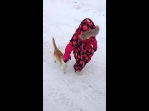 Cat body slams a kid