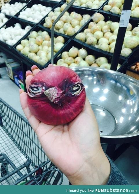 This onion looks like an angry bird