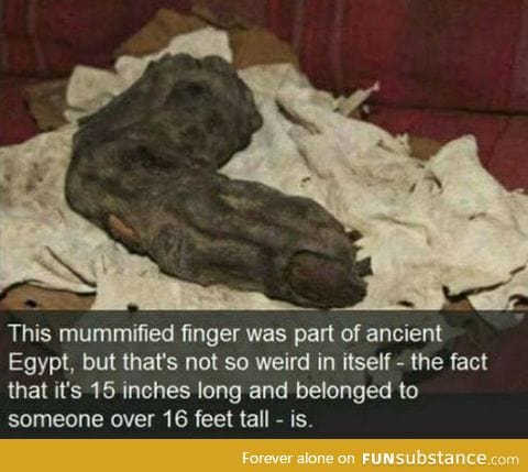 Proof that egyptians were giants