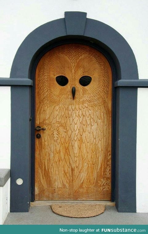 The Owl Door for the owl lovers