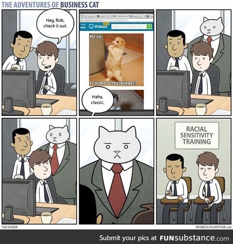Cat Boss isn't amused