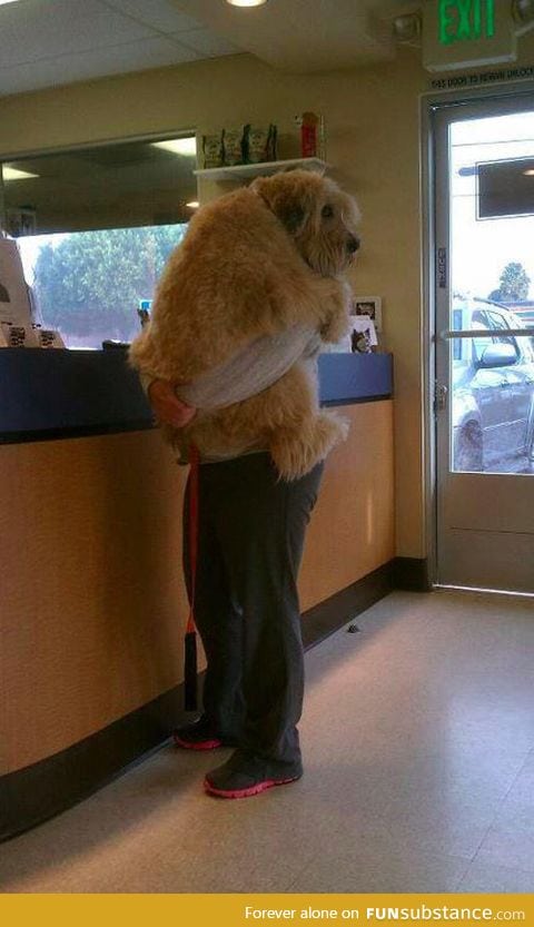 "I told you I didn't want to go to the vet"