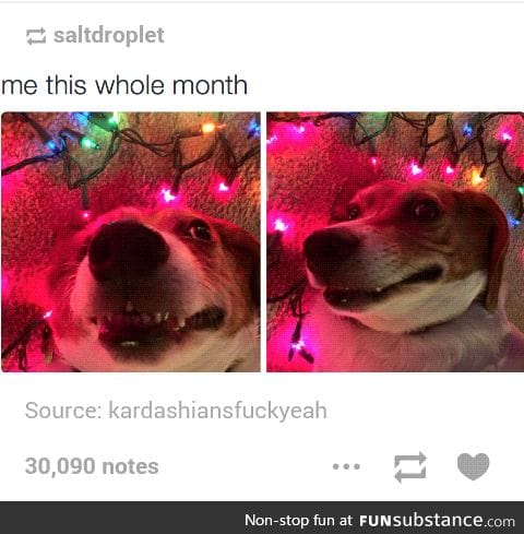 Oh Christmas derp