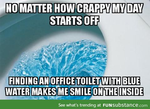 Toilet bliss