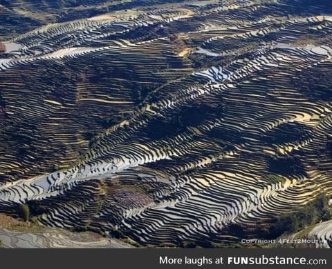 Yuanyang rice terraces in rural China are at least 1300 years old