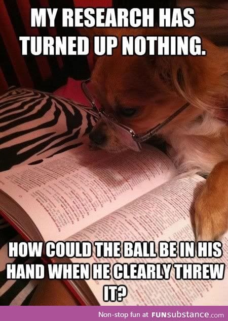 Scholar Dog: asking the important questions