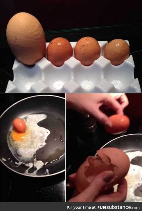Chicken lays a giant egg, has second egg inside