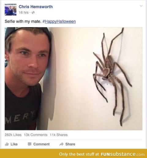 This is the most Australian thing I've ever seen. Chris, pls stop.