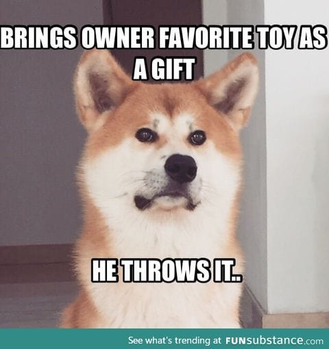 Doge problems