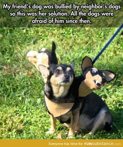 Most clever way to stop dog bullying