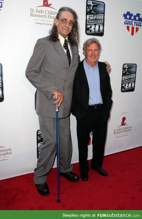 Chewbacca and Han Solo