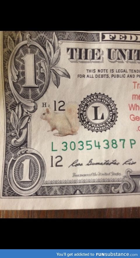 There's a f*cking squirrel on my dollar bill. What. Does. This. Mean?