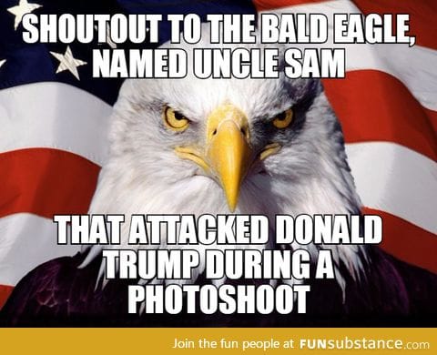 Give that eagle a medal