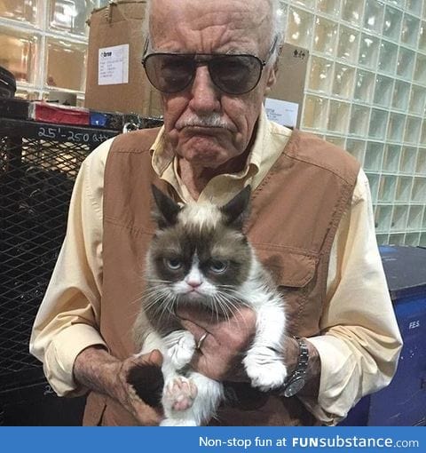 Stan Lee and Grumpy Cat